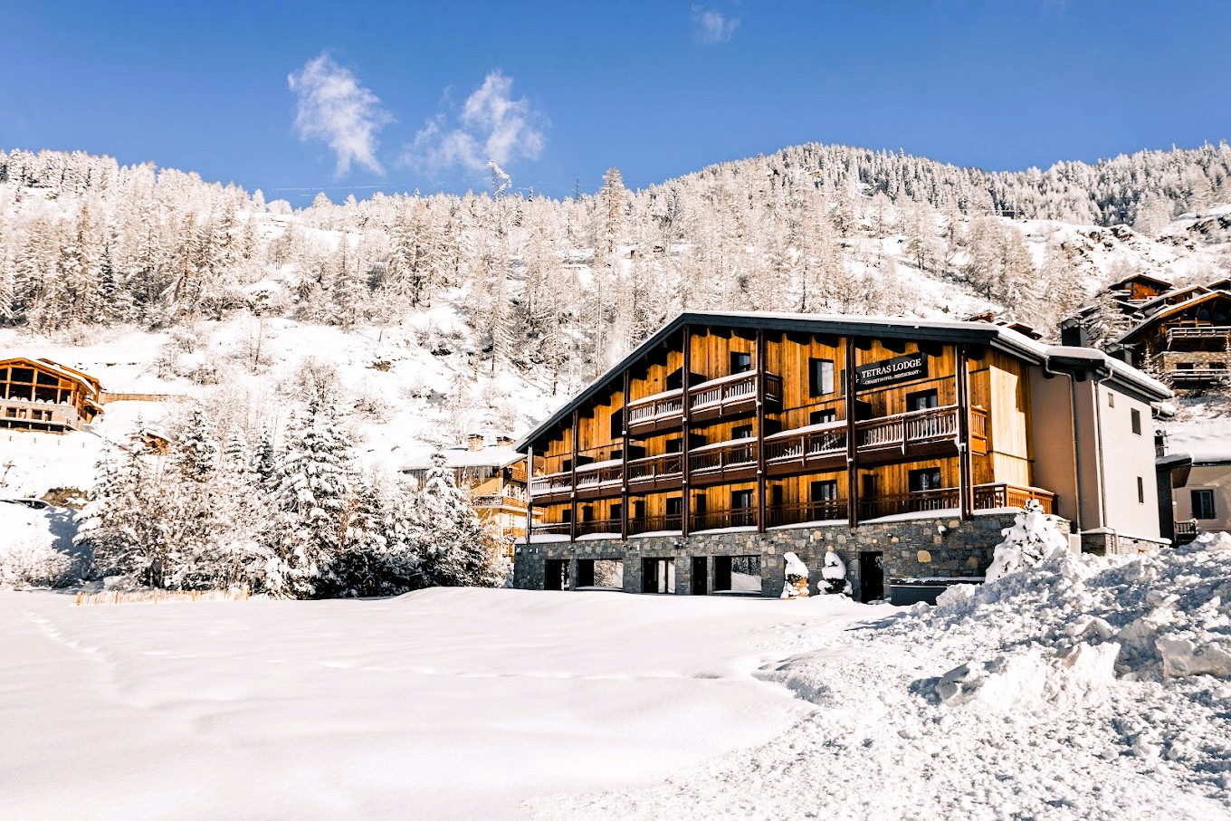 1-HOTEL CHALET SPA TETRAS LODGE TIGNES _ AGENCE JULIE POCINO-ARCHITECTE D'INTERIEUR-RENOVATION HAUT DE GAMME-GRENOBLE-ISERE-SAVOIE-RHONE-ALPES-SUD